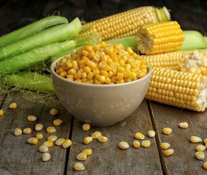 Eating sweet corn is good for your health and fitness.
