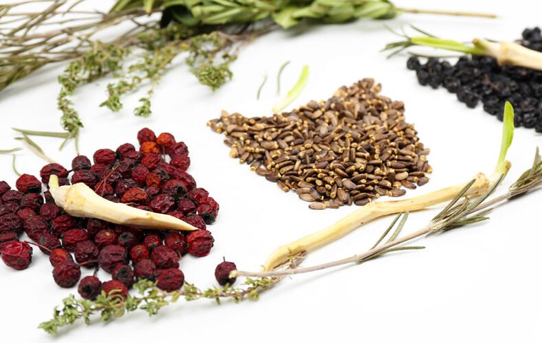 Ancient Practices, Modern Benefits: Your Guide To Buying Traditional Chinese Medicine Product