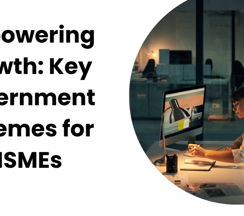 Empowering Growth: Key Government Schemes for MSMEs