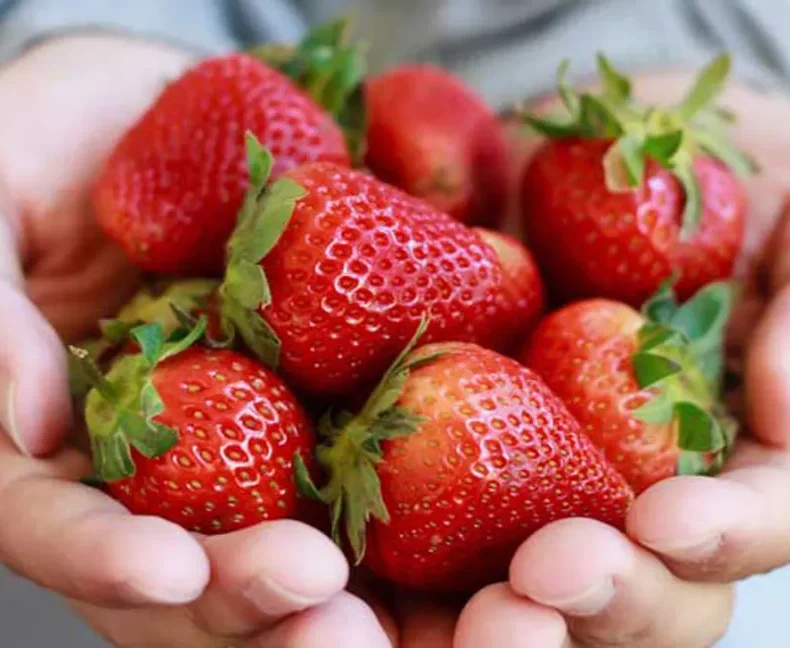 Strawberries Benefit Men’s Health So Much