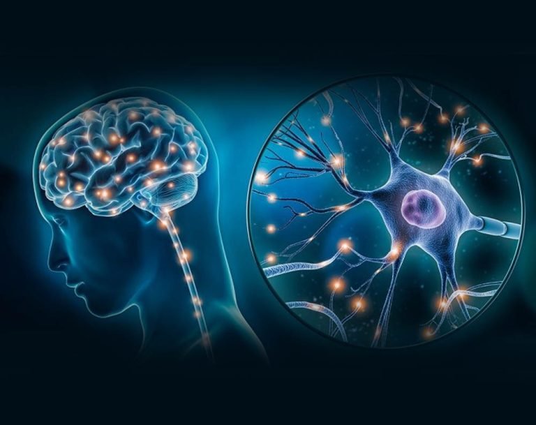 Decoding Trigeminal Neuralgia: Treatment Strategies That Work in Bangalore