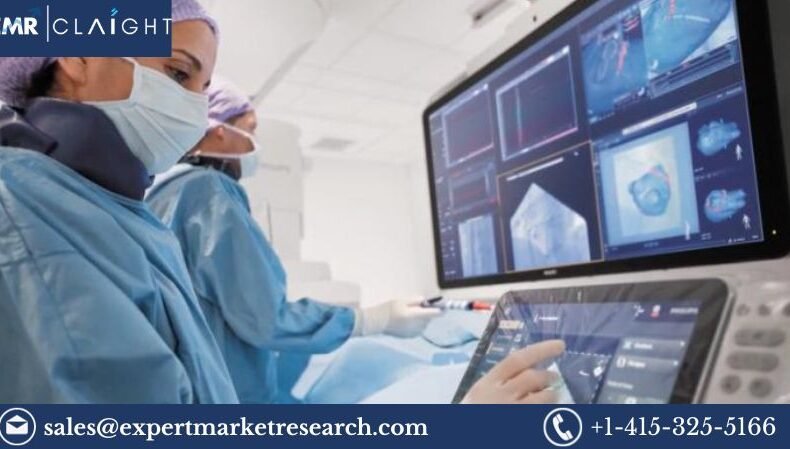 Electrophysiology Devices Market Size, Share Report and Forecast 2024-2032