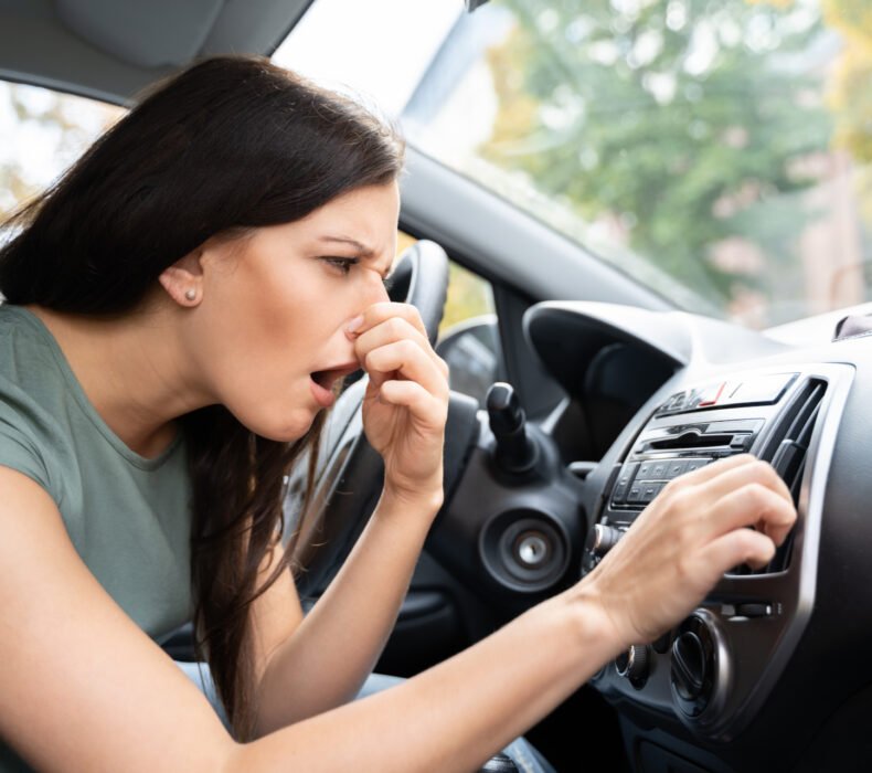 What Is the Best Car Odor Eliminator?