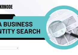 ca business entity search
